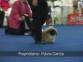 BR Di Libra's Antares - Abril 2008 - KC ABC