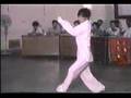 形意八卦掌組合套路(陳精上) Xingyibaguazhang