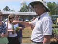 Youth learns about herbs Youth learns about herbs