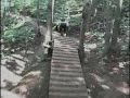 Bromont Trail #7 Bromont Trail #7