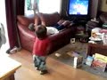 0922071837a.3g2.MOV Verbal clap, Hip hip Hooray