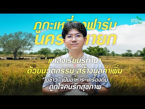 “ภูกะเหรี่ยงฟาร์ม ” แหล่งเรียนรู้ทำนาด้วยนวัตกรรม-สร้างมูลค่าเพิ่ม “ใบข้าว” เป็นอาหาร-เครื่องดื่ม