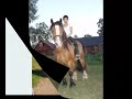 Besök min blogg www.flersam.blogg.se A movie about Northon, the most wonderful horse that ever exist!