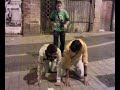 EL LIO - PIRAMIDE HUMANA EN PROCESO - KEBAB