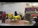 V� & l�n - Martial art and Dragon dance