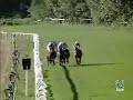 20060827: 3� carrera (Zizou)