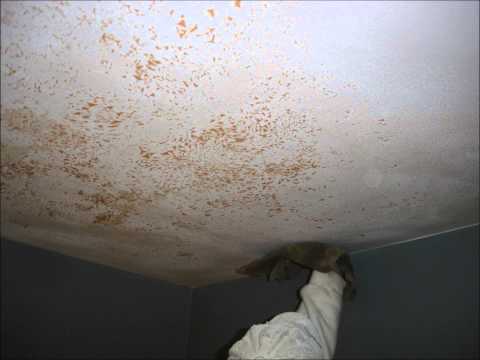 how to patch bathroom ceiling