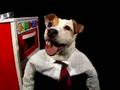 title="Pedigree�s