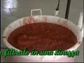 La salsa fatta in casa Paterno Pz