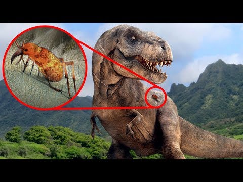 Most SURPRISING Recent Discoveries About DINOSAURS!