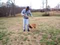 videos de uno1