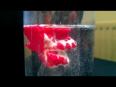how to dissolve pva in water
