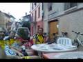 videos de Buitres descansant