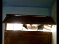 Click here to watch this video =mica= 0015000