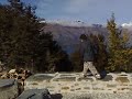 Pakito jumps off roof