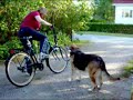 Biking with Emma