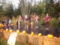 Stella pumpkin prowl dancing