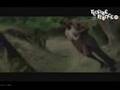lutan fyah & Josie Mel - Rasta still deh bout