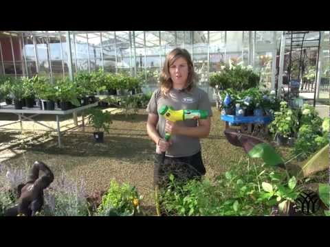 how to fertilize flower garden