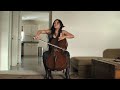 Tina Guo, cello: Foo Fighter's Pretender