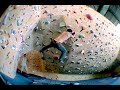 v4 overhang - indoor bouldering