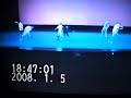 new skool rocksatr... dance routine by arem mendez