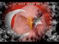Türkisch Freestyle