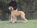 ghibli7months