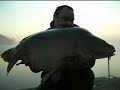 Carpfishing mit Team A-M-A Carpfishing mit Team A-M-A