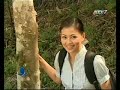khuyen tat uoc mo - anh bong 1