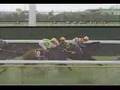 1988 第24回函館記念 サッカーボーイ