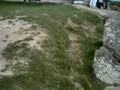 La pointe du Hoc