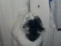 Maisy Part 1 Maisy Part 1