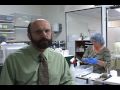Confused About Menopause Symptoms and Bioidentical Hormone