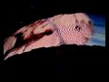Your blue Room - U2 (360º live Toronto)