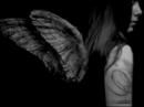� Angels �