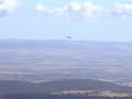 Mt Towac, Wedge-Tail Eagle