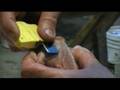Beginners Taxidermy - Fleshing Part 2