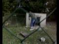 videos de Thomas beim Gänse hüten