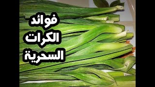  | موسوعة التراث الفلسطيني