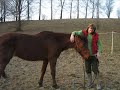 S Vaneskou - základy PNH a naše kravinky. Omlouvám se za nízkou kvalitu, video je z foťáku.