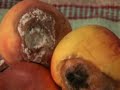 Dulceata-de-noiembri