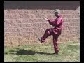 Tai Chi Wu Short Style Form