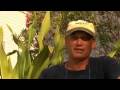 Kayak Fishing Location: Matlacha Florida