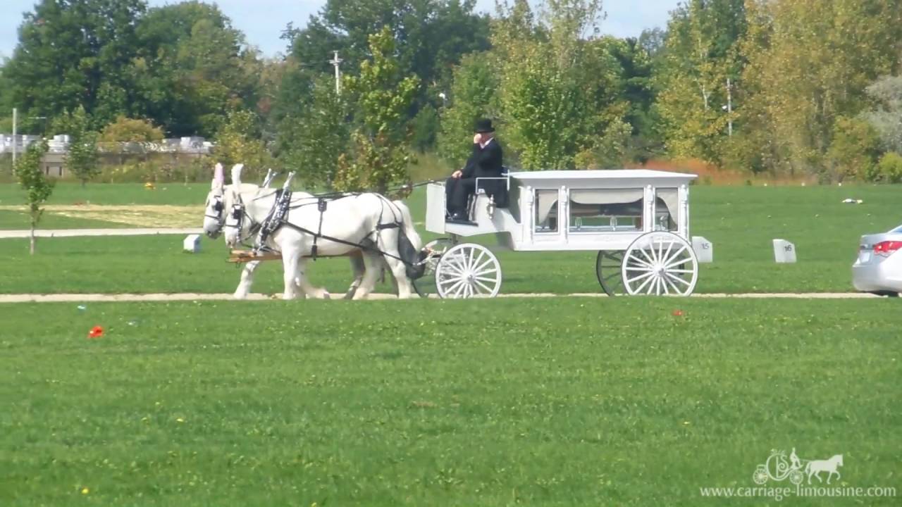 Hire Carriage Limousine Service Horse Drawn Carriages Horse Drawn