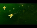 Presidentti - \"Fantasia\" Presidentti - \"Fantasia\"