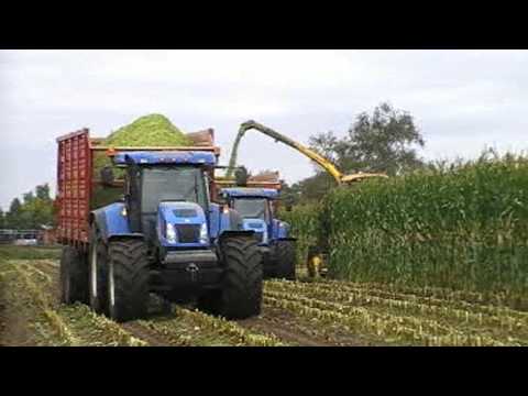 Voor de echte doorkauwers
