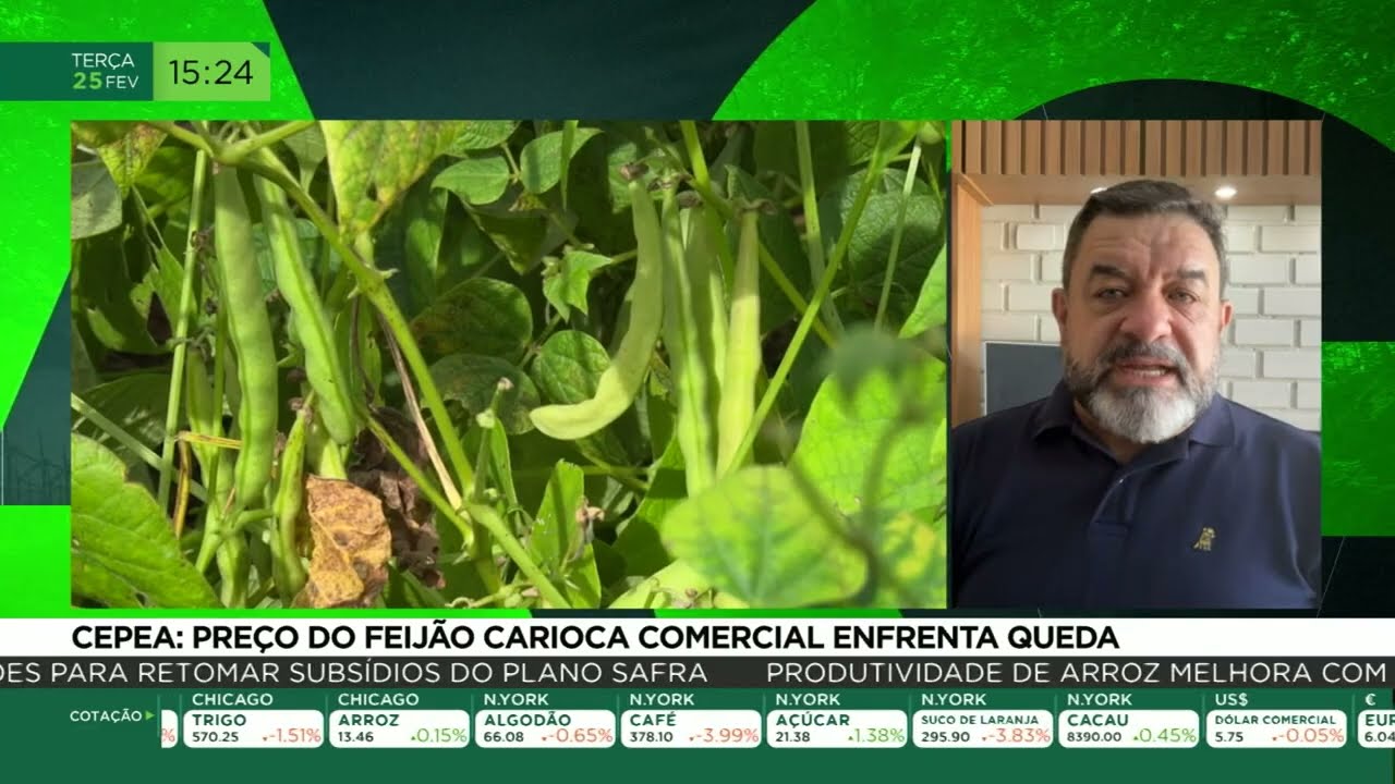 CEPEA: preço do feijão carioca comercial enfrenta queda