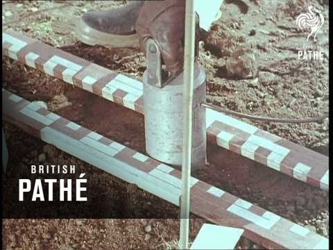 how to treat eelworm