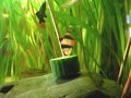 Red-tailed black shark / Feuerschwanz Fransenlipper [2/2]